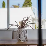 Apartahotel Eliza 2*