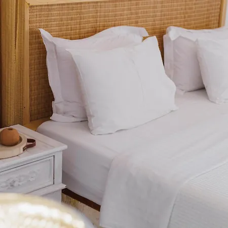 Studios Eliza Lägenhetshotell Livadi (Serifos)